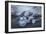 Horse 4-Moises Levy-Framed Photographic Print