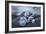 Horse 4-Moises Levy-Framed Photographic Print