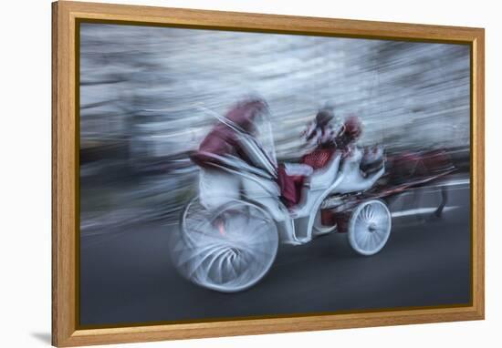 Horse 4-Moises Levy-Framed Premier Image Canvas