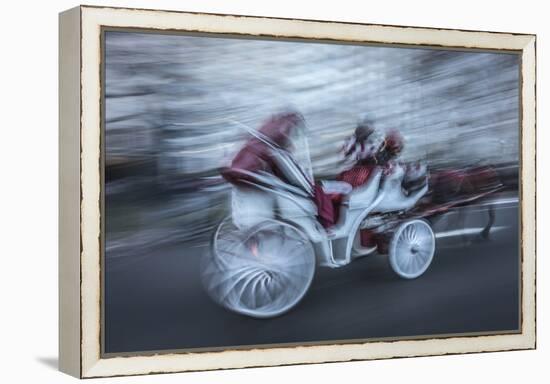 Horse 4-Moises Levy-Framed Premier Image Canvas