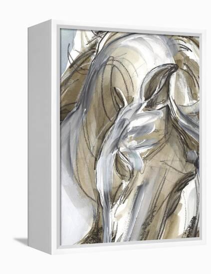 Horse Abstraction I-null-Framed Stretched Canvas
