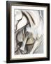 Horse Abstraction II-Jennifer Paxton Parker-Framed Giclee Print