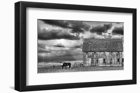 Horse and Barn-Trent Foltz-Framed Art Print