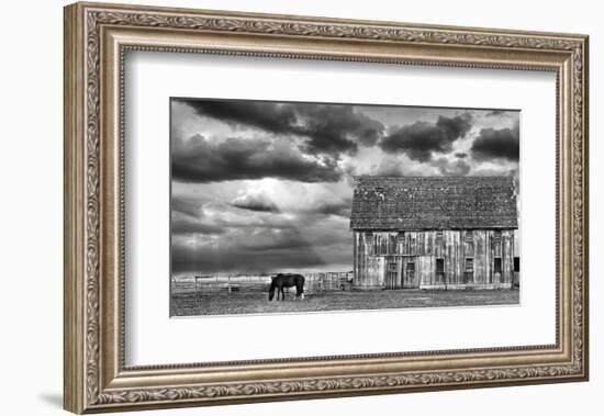 Horse and Barn-Trent Foltz-Framed Art Print