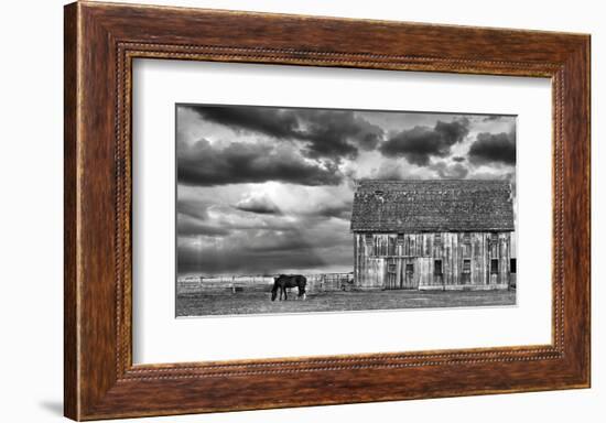 Horse and Barn-Trent Foltz-Framed Art Print