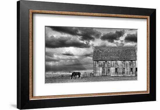 Horse and Barn-Trent Foltz-Framed Art Print