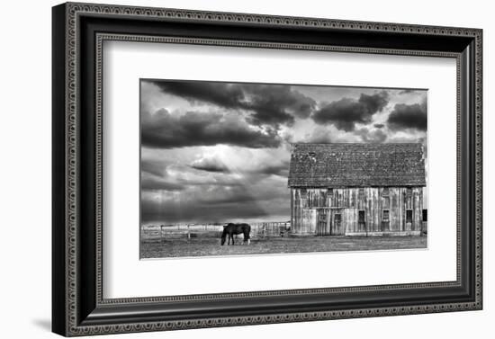 Horse and Barn-Trent Foltz-Framed Art Print