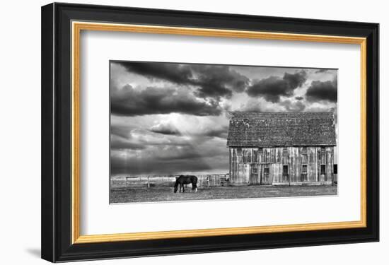 Horse and Barn-Trent Foltz-Framed Art Print