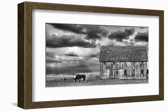 Horse and Barn-Trent Foltz-Framed Art Print