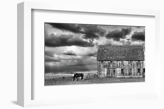 Horse and Barn-Trent Foltz-Framed Art Print