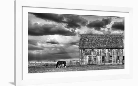 Horse and Barn-Trent Foltz-Framed Art Print