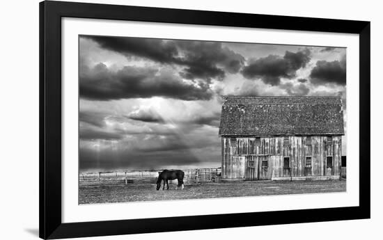 Horse and Barn-Trent Foltz-Framed Art Print