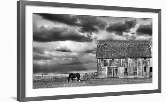 Horse and Barn-Trent Foltz-Framed Art Print