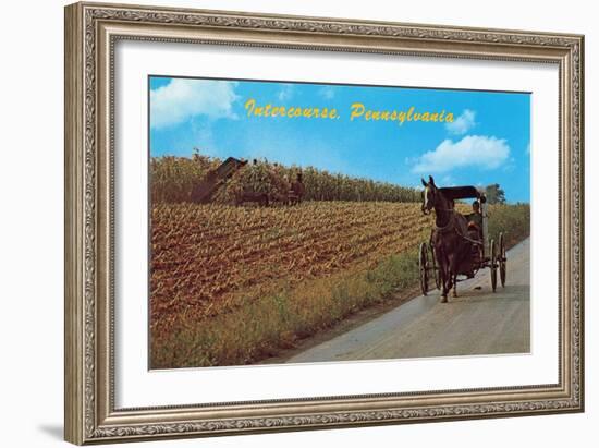 Horse and Buggy, Intercourse-null-Framed Art Print