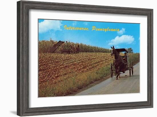Horse and Buggy, Intercourse-null-Framed Art Print