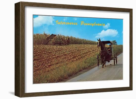 Horse and Buggy, Intercourse-null-Framed Art Print