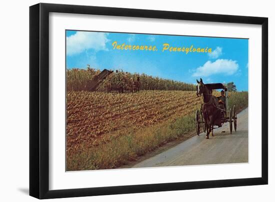 Horse and Buggy, Intercourse-null-Framed Art Print