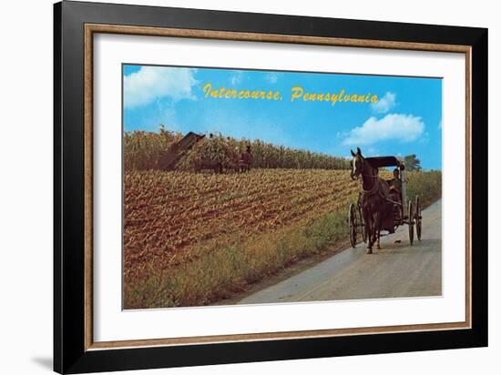 Horse and Buggy, Intercourse-null-Framed Art Print