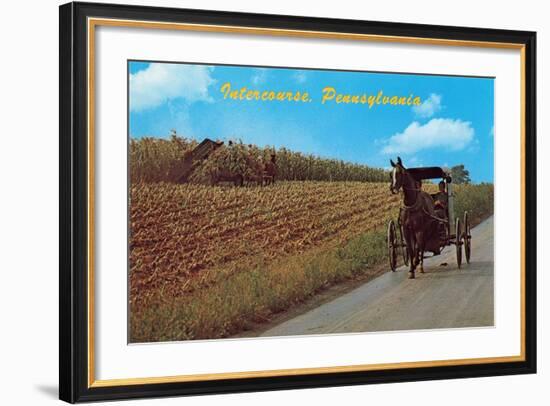 Horse and Buggy, Intercourse-null-Framed Art Print