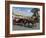 Horse and Carriages in Main Market Square, Old Town District, Krakow, Poland-R H Productions-Framed Photographic Print