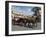 Horse and Carriages in Main Market Square, Old Town District, Krakow, Poland-R H Productions-Framed Photographic Print