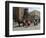 Horse and Carriages in Main Market Square, Old Town District, Krakow, Poland-R H Productions-Framed Photographic Print