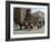 Horse and Carriages in Main Market Square, Old Town District, Krakow, Poland-R H Productions-Framed Photographic Print