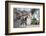 Horse and Cart and Vintage American Car on Cobbled Street in the Historic Centre of Trinidad-Lee Frost-Framed Photographic Print