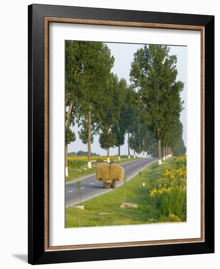 Horse and Cart, Moldavia, Romania-Russell Young-Framed Photographic Print