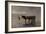 Horse and Cart-Anton Mauve-Framed Giclee Print