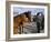 Horse and Foal Fair, Town of Wesport, County Mayo, Connacht, Eire (Ireland)-Bruno Barbier-Framed Photographic Print