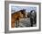 Horse and Foal Fair, Town of Wesport, County Mayo, Connacht, Eire (Ireland)-Bruno Barbier-Framed Photographic Print