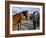 Horse and Foal Fair, Town of Wesport, County Mayo, Connacht, Eire (Ireland)-Bruno Barbier-Framed Photographic Print