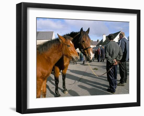 Horse and Foal Fair, Town of Wesport, County Mayo, Connacht, Eire (Ireland)-Bruno Barbier-Framed Photographic Print
