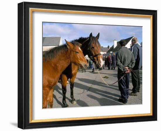 Horse and Foal Fair, Town of Wesport, County Mayo, Connacht, Eire (Ireland)-Bruno Barbier-Framed Photographic Print