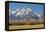 Horse and Grand Tetons, Moose Head Ranch, Grand Teton National Park, Wyoming, USA-Michel Hersen-Framed Premier Image Canvas