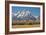 Horse and Grand Tetons, Moose Head Ranch, Grand Teton National Park, Wyoming, USA-Michel Hersen-Framed Photographic Print