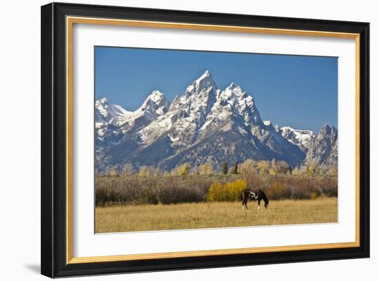 Horse and Grand Tetons, Moose Head Ranch, Grand Teton National Park, Wyoming, USA-Michel Hersen-Framed Photographic Print