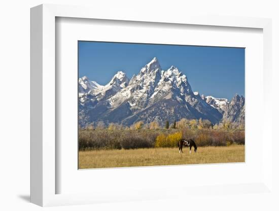 Horse and Grand Tetons, Moose Head Ranch, Grand Teton National Park, Wyoming, USA-Michel Hersen-Framed Photographic Print