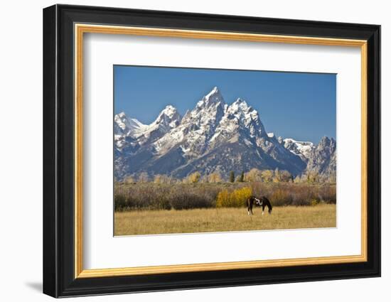 Horse and Grand Tetons, Moose Head Ranch, Grand Teton National Park, Wyoming, USA-Michel Hersen-Framed Photographic Print
