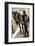 Horse and Lovely Equestrian Girl, Care for a Horse-Gorilla-Framed Photographic Print
