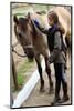 Horse and Lovely Equestrian Girl, Care for a Horse-Gorilla-Mounted Photographic Print