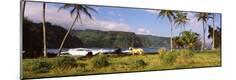 Photographic Print