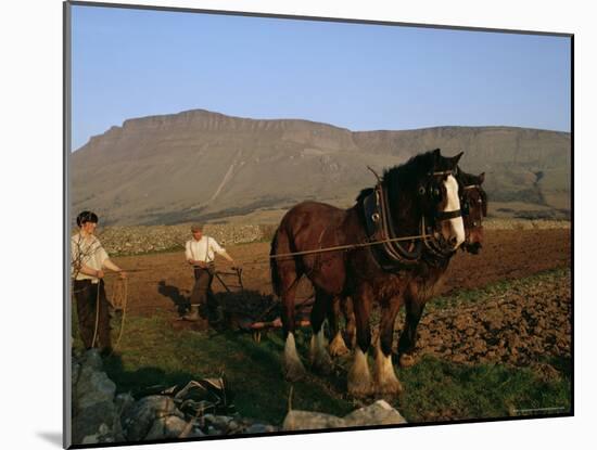 Horse and Plough, County Sligo, Connacht, Eire (Republic of Ireland)-Christina Gascoigne-Mounted Photographic Print