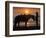 Horse and rider, sunrise, Vilano Beach, Florida-Maresa Pryor-Framed Photographic Print