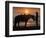 Horse and rider, sunrise, Vilano Beach, Florida-Maresa Pryor-Framed Photographic Print