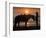 Horse and rider, sunrise, Vilano Beach, Florida-Maresa Pryor-Framed Photographic Print