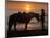 Horse and rider, sunrise, Vilano Beach, Florida-Maresa Pryor-Mounted Photographic Print