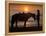 Horse and rider, sunrise, Vilano Beach, Florida-Maresa Pryor-Framed Premier Image Canvas