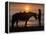 Horse and rider, sunrise, Vilano Beach, Florida-Maresa Pryor-Framed Premier Image Canvas